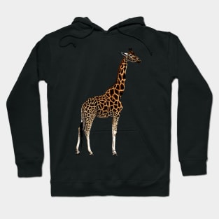 Giraffe drawing Hoodie